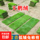 草皮真草坪種子帶泥土別墅花園綠化四季青果嶺草臺灣草草皮帶土 好養天鵝絨草坪 別墅) 1平方