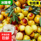 棗樹(shù)活苗嫁接冰糖棗沾化冬棗樹(shù)超甜南北方盆地栽庭院種植當年結果 冰糖棗6年苗 2棵+肥