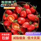 【超市品質(zhì)】新鮮水果圣女果小番茄孕婦兒童即食零食生鮮水果 帶箱 1斤 紅色圣女果