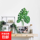 龜背葉貼紙裝飾家居墻面臥室客廳貼畫(huà)葉子墻貼畫(huà) 烏背葉貼畫(huà)  1套