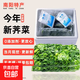 【農(nóng)村最鮮】春天里薺菜農(nóng)家野菜薺菜速凍薺菜水餃餛飩餡新 整顆【當(dāng)季新菜4斤】精選商用裝