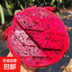 【商超大果】廣西金都一號(hào)紅心火龍果超甜紅肉火龍果新鮮水果 【3個(gè)裝】 單果200g+