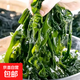 大連 鮮海帶 裙帶菜 海帶嫩苗兒童海白菜 海藻菜 裙帶菜葉3斤