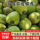 海南文昌帶皮椰青應(yīng)季生鮮現(xiàn)摘現(xiàn)發(fā)椰汁水果椰子椰子水-萬澄 【6個(gè)裝】海南帶皮椰青