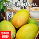 凱特芒果整箱當(dāng)季新鮮水果特大孕婦芒果 源頭直采 凈重3斤單果300g