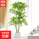 仿真南天竹仿真綠植高端輕奢室內大型落地盆栽客廳擺件仿生假花樹(shù) 1.6米仿真南天竹3桿+米白酒杯盆