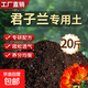 君子蘭專用土花土養(yǎng)君子蘭專用營養(yǎng)土肥料栽種盆栽土專用肥換盆土 君子蘭專用土20斤