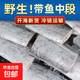 東海小眼油帶魚(yú)無(wú)冰無(wú)水國產(chǎn)去頭去尾中段帶魚(yú)大段速凍新鮮海鮮 精品帶魚(yú)段400g*2