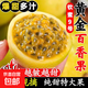 廣西欽蜜9號黃金百香果 單果45g+新鮮現(xiàn)摘水果當季現(xiàn)摘百香果整箱 4.5斤裝凈重