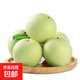 25年新梨正宗河北綠寶石梨青皮梨新鮮發(fā)貨龍華1 帶箱2斤裝