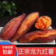 正宗新鮮龍九紅薯蜜薯甜糯無絲沙地黃心地瓜番薯蔬菜農(nóng)家產(chǎn)品批發(fā) 3斤【約5-10個】源頭直采包郵