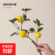 仿真檸檬枝條水果裝飾擺件仿真花假花電視柜玄關(guān)餐桌裝飾擺件 【體驗款】3果仿真檸檬1枝