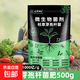 枯草芽孢菌桿菌農(nóng)用微生物菌劑防治病害蘭花專用正品菌種有機肥料 枯草芽孢桿菌（≥1000億/g）500g