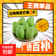 京喜加云南玉芒大青皮芒果新鮮應季水果 帶箱2斤單果200g+