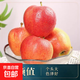 脆甜嘎啦蘋(píng)果陜西特產(chǎn)鮮水果整箱新鮮上市箱裝-千果悅 嘎啦蘋(píng)果帶箱五斤60起