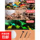兒童考古挖掘恐龍蛋玩具恐龍化石diy手工盲盒挖土挖寶藏5男孩女孩 超大恐龍蛋隨機兩個(gè)-送工具
