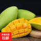 京喜加海南小臺芒果 皮薄肉厚【農家果園現發(fā)】 單果60g+ 9斤裝 凈重