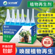 植物再生劑復(fù)活液花卉綠植盆栽通用光桿發(fā)黃發(fā)財(cái)樹(shù)多肉生長(zhǎng)營(yíng)養(yǎng)液 3盒共18支【恢復(fù)活力+激活僵苗】
