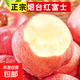 正宗煙臺(tái)蘋果棲霞紅富士脆甜新鮮水果整箱生鮮蘋果水果 凈重4.5斤75mm