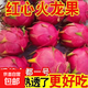 西雙版納應(yīng)季現(xiàn)摘紅心火龍果甜蜜多汁 金都壹號 1粒裝大果（單果400g起）