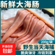 新鮮厚皮海腸 鮮活速凍沙蟲海捕海腸皮海腸撈飯海鮮水產商用1000g 2袋厚皮海腸【400g】