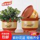 花盆陶瓷花盆家用紫砂陶土盆大號栽花綠植多肉盆景落地盆蘭花盆 口徑44cm（特大一個(gè)）送托盤(pán)
