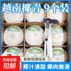 越南進口椰青單果850g以上奧英 當(dāng)季新鮮水果 贈開椰器和吸管 9粒原箱超大果 單果1000g+