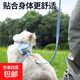 小蜜蜂牽引繩貓咪牽引繩防脫掙脫工字調節寵物狗繩背帶小型犬 星空藍【牽引繩約長(cháng)1.2米左右】 S碼【建議2斤-6斤】