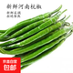 河南新鮮杭椒超市品質(zhì)水果杭椒青椒 河南杭椒帶箱2斤裝