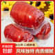 醬香卷肘200g大塊卷肘新鮮即食鹵肉類熟食肘花下酒菜真空包裝肉腸 醬香卷肘200g*1袋