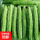 農(nóng)家現(xiàn)摘新鮮苦瓜瘦身減脂新鮮蔬菜生鮮夏季清火 4斤 帶箱