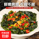 海帶絲開袋即食香辣下飯菜休閑零食小包裝早餐開胃咸菜涼拌菜海川 鹽漬裙帶菜500g