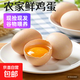 山東正宗農家草雞蛋月子蛋初生蛋谷物蛋現撿現發(fā)新鮮營(yíng)養40g 2枚
