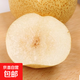 安徽正宗碭山酥梨酥脆水果香梨脆雪梨碭山特產(chǎn)桃園 帶箱2斤（凈重1.6-1.8斤）