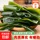 海帶結鹽漬新鮮食材厚海白菜高泡發(fā)結片 火鍋食材 涼拌蔬菜 海帶結500g/袋