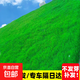 護(hù)坡固土草籽耐寒耐旱邊坡綠化草坪草籽免修剪黑麥草高羊茅籽 護(hù)坡四季青10斤【快速復(fù)綠】