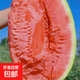 【寧夏石頭瓜】寧夏中衛(wèi)硒砂瓜石縫瓜當(dāng)季新鮮水果沙瓤西沙瓜 硒砂瓜10-12斤