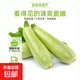 【京東配送】山東新鮮西葫蘆角瓜農家自種三月瓜茭瓜現摘現發(fā) 家庭裝1箱/ 6斤 ±50g（帶箱）