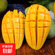 京喜加海南小臺芒果 皮薄肉厚【農家果園現發(fā)】 單果60g+ 5斤裝 凈重