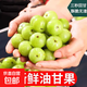 新鮮油甘果云南滇橄欖酸甜可口高山云南油甘孕婦水果橄欖果 新鮮橄欖帶箱5斤