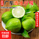 廣東香水檸檬新鮮檸檬茶無(wú)籽生鮮檸奶茶店專(zhuān)用水果產(chǎn)地源頭直發(fā) 【帶箱2斤】香水檸檬(單果65g+)