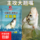 魚(yú)餌餌料大翹嘴翹嘴魚(yú)餌450克散裝水庫湖泊野釣餌料釣魚(yú)魚(yú)餌料 大翹嘴450克大包裝（2包）