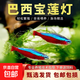 【巴西進(jìn)口寶蓮燈魚(yú)】燈科活魚(yú)紅綠燈魚(yú)觀(guān)賞魚(yú)苗淡水魚(yú)種魚(yú)熱帶魚(yú) 種魚(yú) 櫻桃燈10條 特大號
