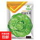 【虧本沖量】四季玻璃生菜奶油生菜種子脆嫩生吃種籽四季盆栽蔬菜 奶油生菜種子【800?！?品牌原廠(chǎng)彩包