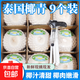 泰國進口椰青單果850g以上 奧英當季新鮮水果 贈開椰器和吸管 9粒原箱大果 單果900g+