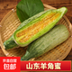 山東濰坊頭茬羊角蜜甜瓜 當(dāng)季新鮮水果現(xiàn)摘整箱 羊角蜜4.5-5斤3-6根