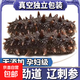 即食海參 大連鮮食海參單個(gè)裝500g海鮮水產(chǎn) 鮮食海參5-8只/斤（參王）