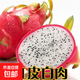 火龍果樹苗紅心火龍果苗四季庭院陽臺盆栽地栽南北方種植果樹苗 紅皮白肉火龍果【6年苗結(jié)果多】