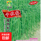 干枝梅特長(cháng)豆角種子高產(chǎn)早熟抗病長(cháng)豆角種子四季爬藤豇豆種籽易種 【干枝梅】特長(cháng)豆角種約100粒2包