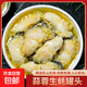 肥美生蠔蠔肉罐頭爆汁醬拌飯夾饃超上頭即食海鮮美麻辣味蒜蓉味 蒜蓉味100g/罐（6罐劃算裝）